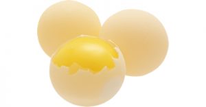 img05